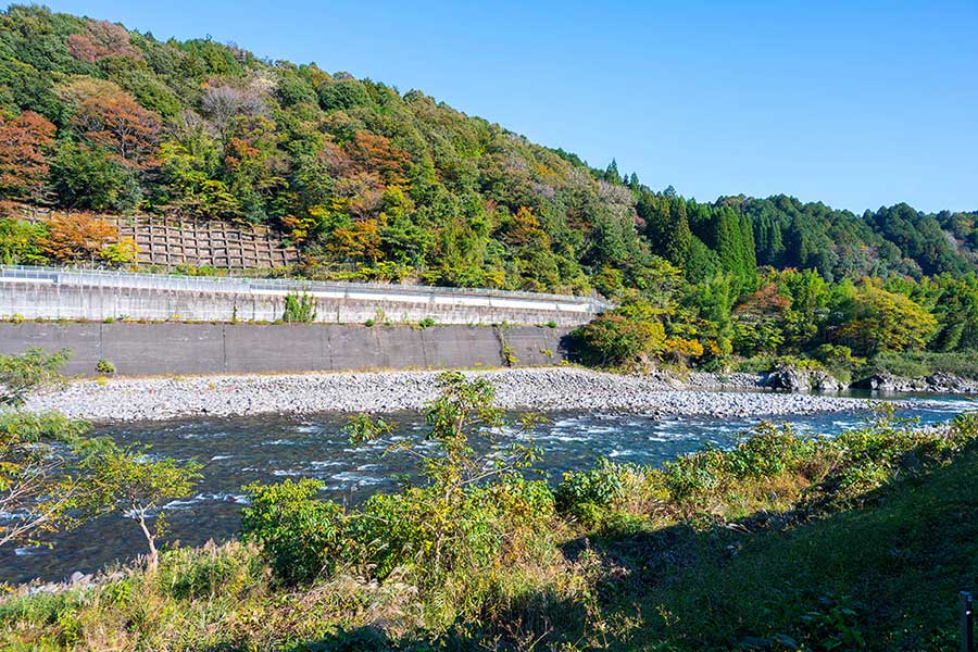 Have a relaxing time surrounded by nature